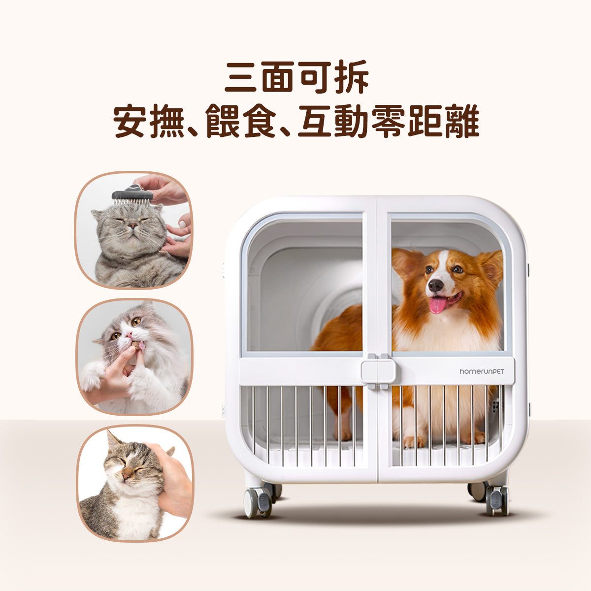 a56cacf4aa242cacb89c31e693a90a84.jpg